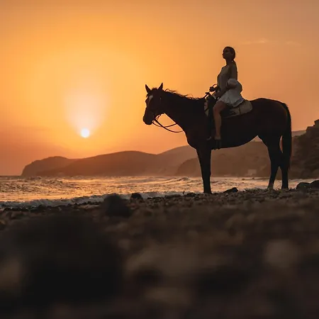 Venus Sunrise & Hotel